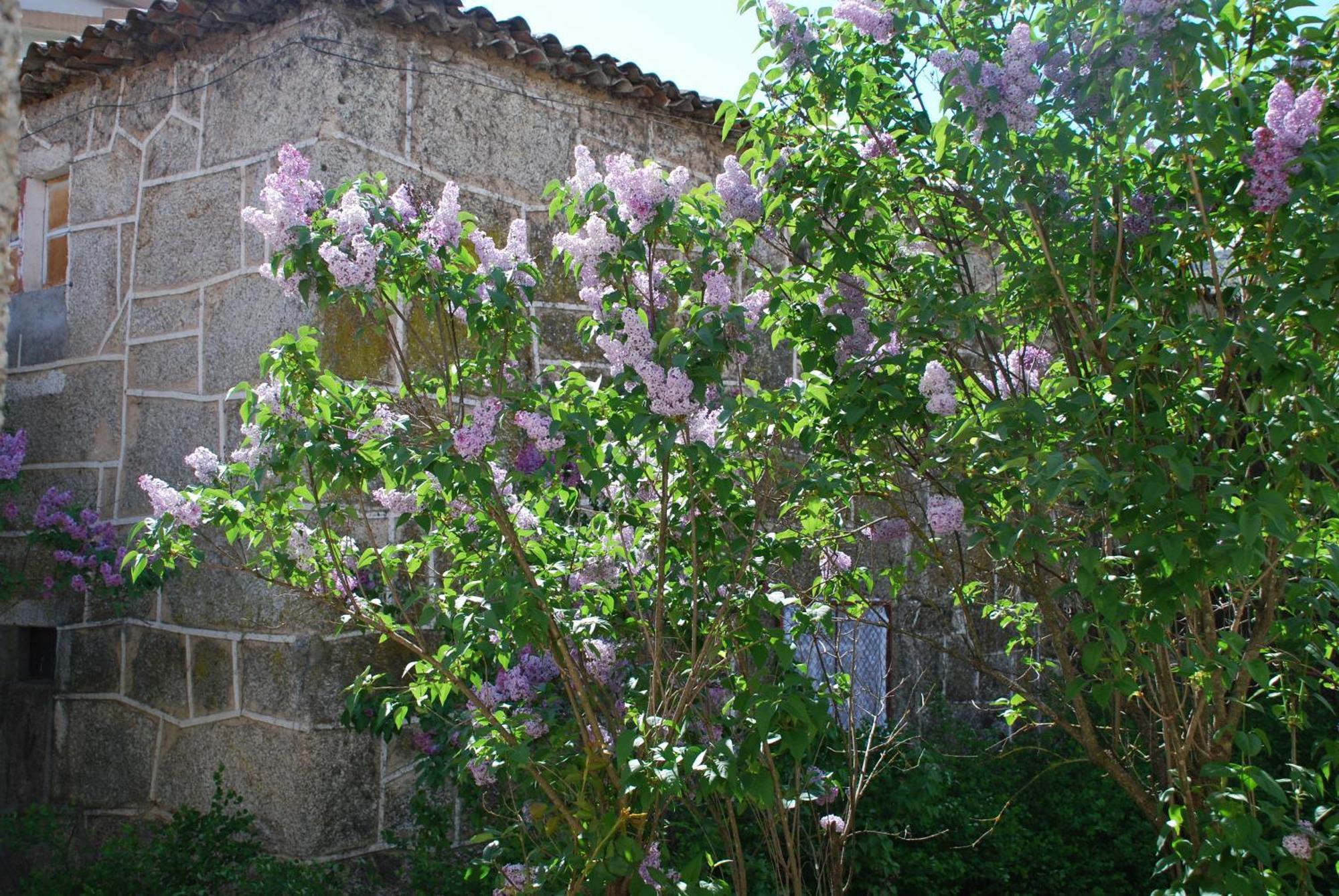 Вилла Refugio De Calheiros Ковильян Экстерьер фото